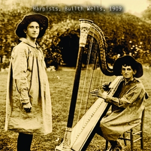 Harpists in Wales